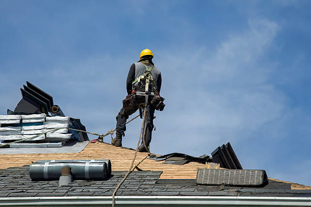 Professional Gutter Installation technician working in Whitesboro, TX